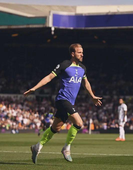 贡萨洛在采 贡萨洛在采